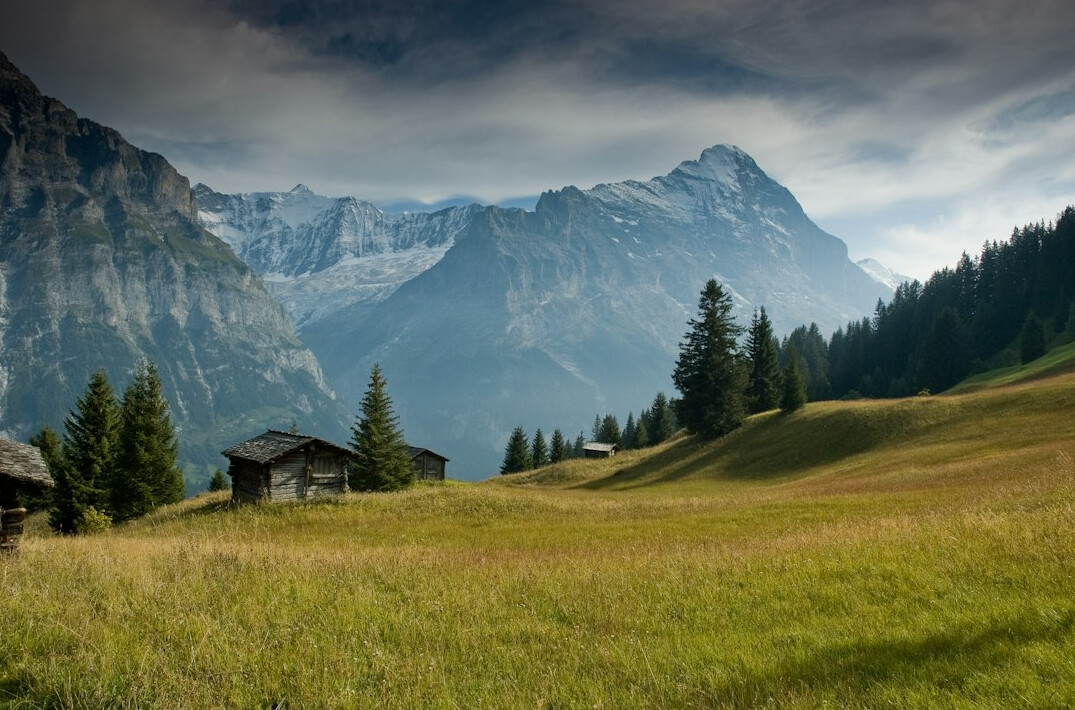 swiss alps business landscape